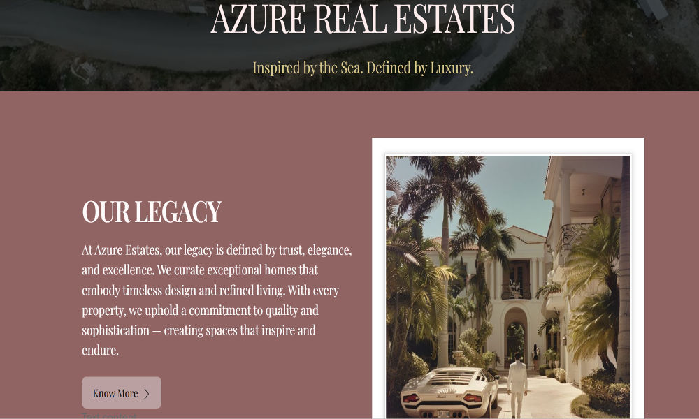Luxury Real Estate Agency